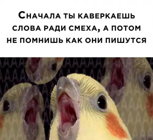 Смешная картинка №672181