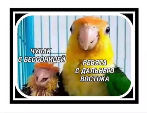 Смешная картинка №452085