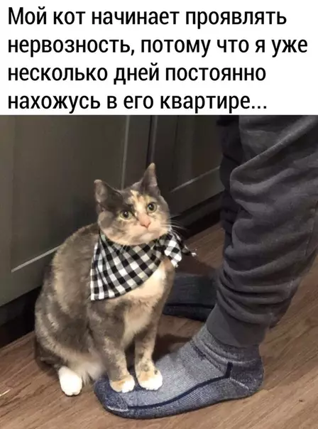 Смешная картинка №481604