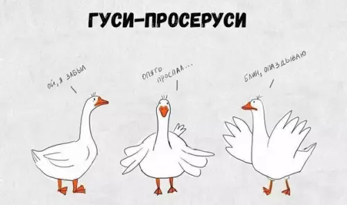 Смешная картинка №520194 Moи тотeмныe животныe: