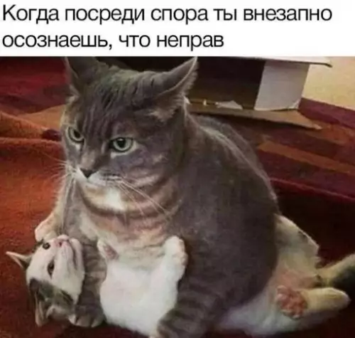 Смешная картинка №683094