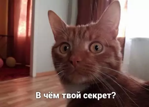 продолжение Смешная картинка №598892 А, ну тогда понятно..