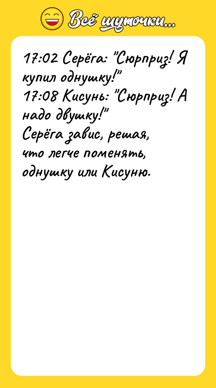 17:02 Серёга: Сюрприз! Я купил однушку! 17:08 Кисунь: Сюрприз!