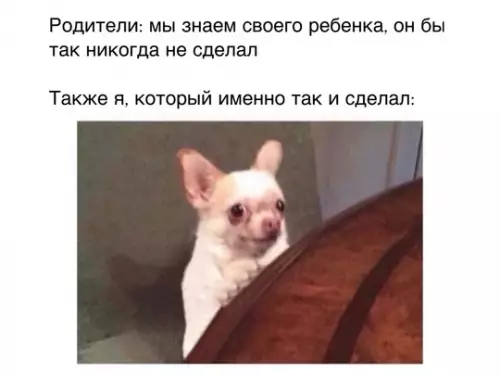 Смешная картинка №737509 Дети