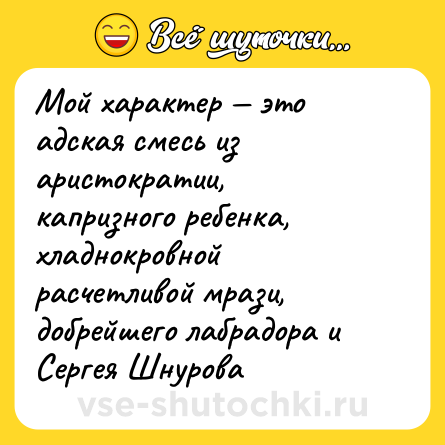 Шутка: Мой характер — это адская смесь из аристократии, капризного ребенка, хладнокровной расчетливой мрази, добрейшего лабрадора и Сергея Шнурова