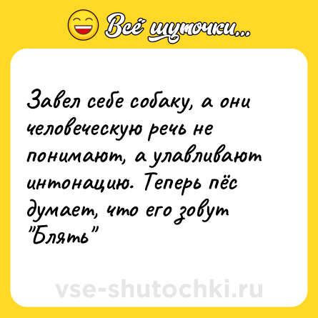 Шутка: Завел себе собаку, а они человеческую речь не понимают, а улавливают интонацию. Теперь пëс думает, что его зовут 