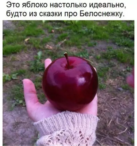 Смешная картинка №249497