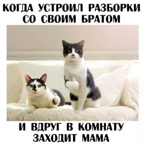 Смешная картинка №187875