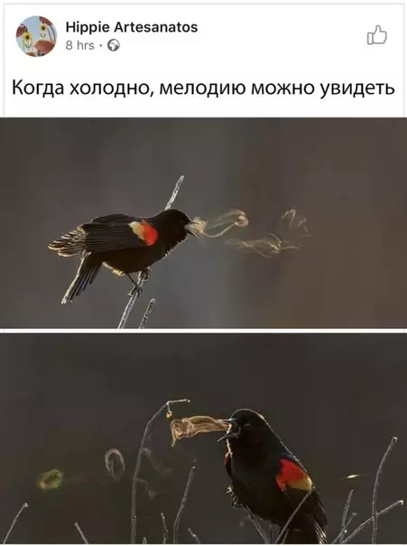 Смешная картинка №377157