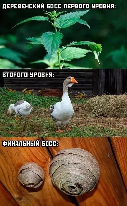 Смешная картинка №773195