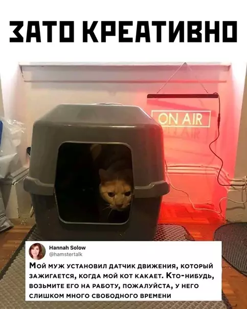 Смешная картинка №547198