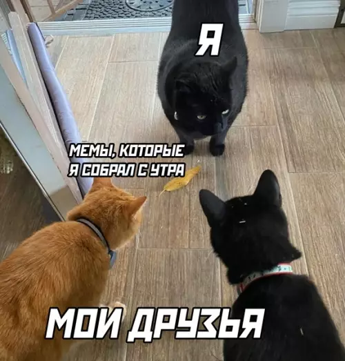Смешная картинка №613409