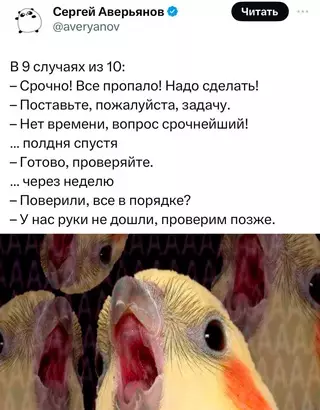 Смешная картинка №709044 работа