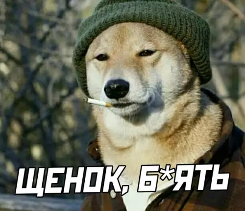 продолжение Смешная картинка №583629