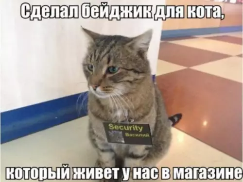 Смешная картинка №276292