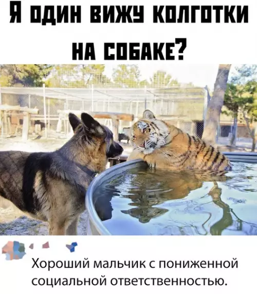 Смешная картинка №380134