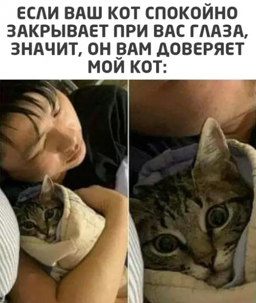 Смешная картинка №544439