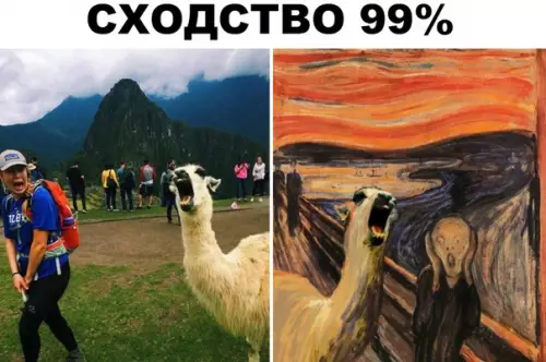 Смешная картинка №300251