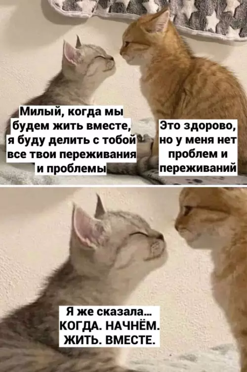 Смешная картинка №706405 Спасибо за уточнение