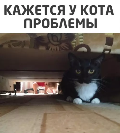 Смешная картинка №572898