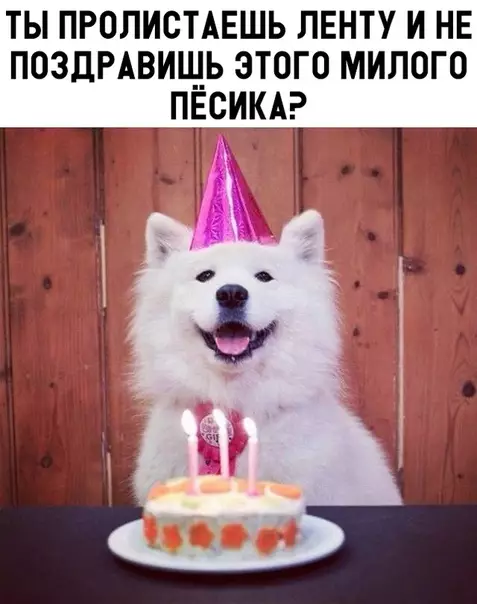 Смешная картинка №331950