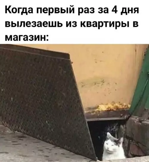 Смешная картинка №673574