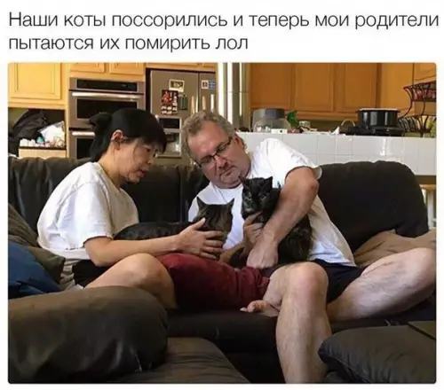 Смешная картинка №275885