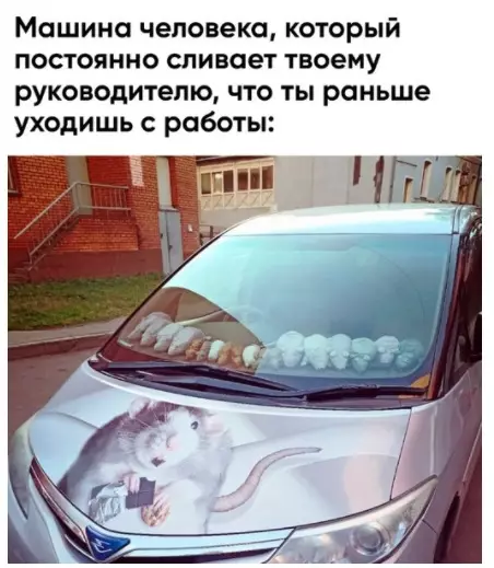 Смешная картинка №514825 Крысы среди нас