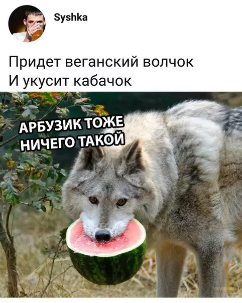Смешная картинка №309523