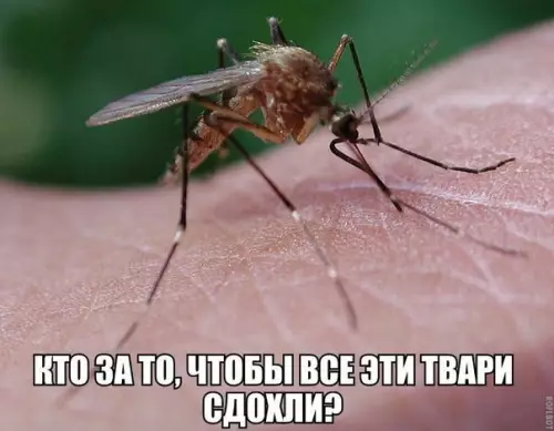 Смешная картинка №192097