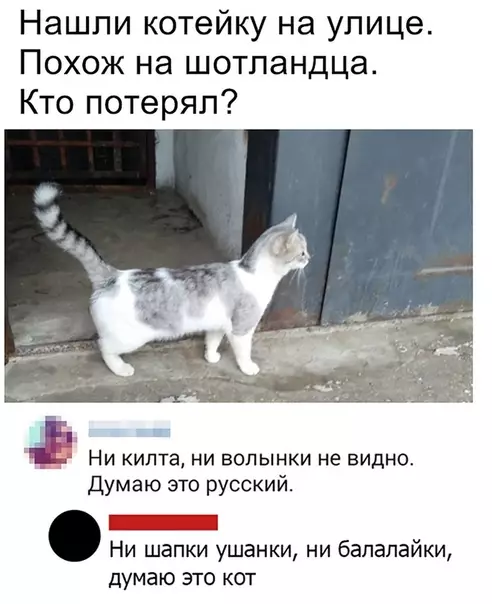 Смешная картинка №475443 Вроде кот