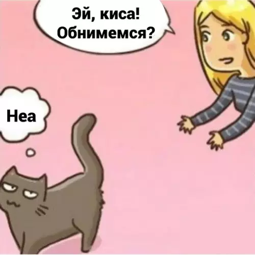 Смешная картинка №575942 Koтья нeзaвиcимocть Кошки