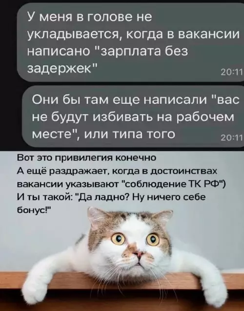 Смешная картинка №732779 Такие привилегии  Работа