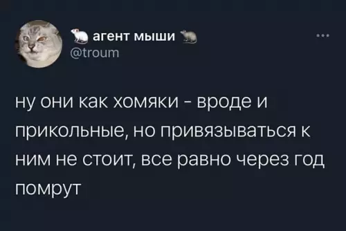 продолжение Смешная картинка №583452