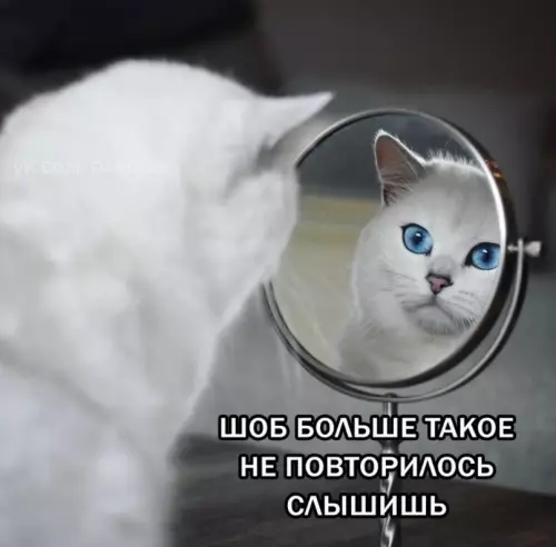 продолжение Смешная картинка №617724