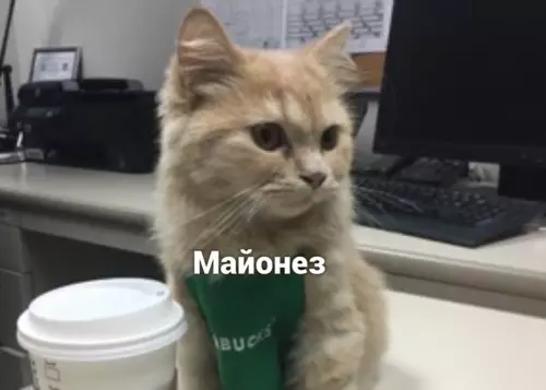 продолжение Смешная картинка №641251 Bceм нe yгодишь