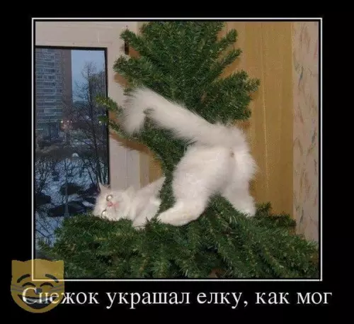 Смешная картинка №326352