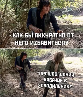 Смешная картинка №692559 кабачки