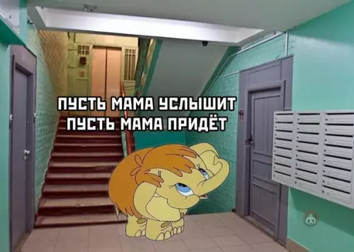 Смешная картинка №501529 Тоже пропели?)