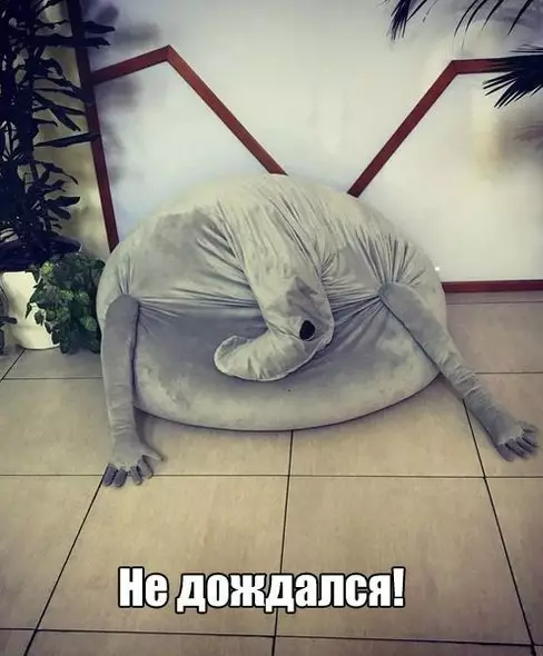 Смешная картинка №281691