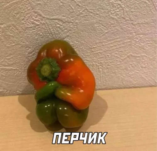 продолжение Смешная картинка №638240
