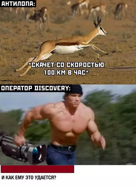 Смешная картинка №568470 Никогда не задумывался)))