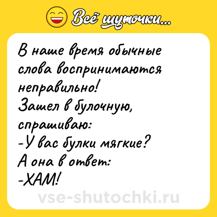 Шутка: В наше время обычные слова воспринимаются неправильно!<br>Зашел в булочную, спрашиваю:<br>-У вас булки мягкие?<br>А она в ответ:<br>-ХАМ!