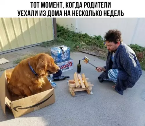 Смешная картинка №289289