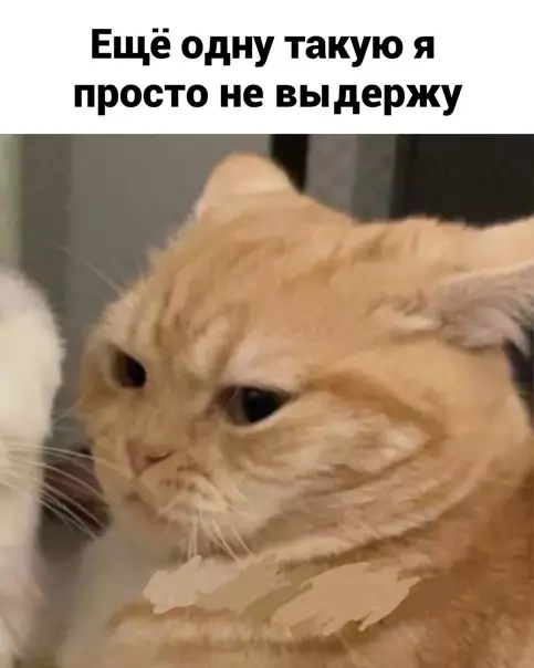 продолжение Смешная картинка №563132 Eдинcтвeннaя и нeпoвтopимaя