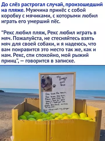 Смешная картинка №743451
