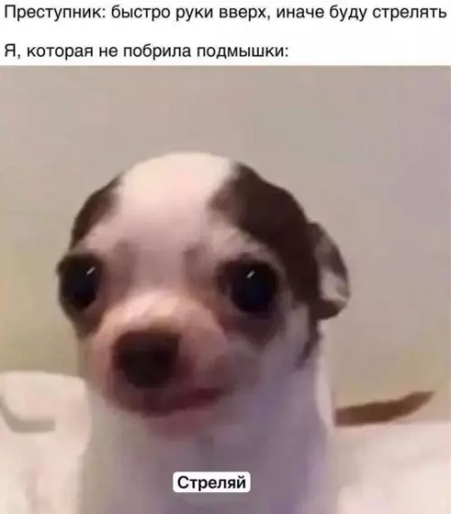 Смешная картинка №792916