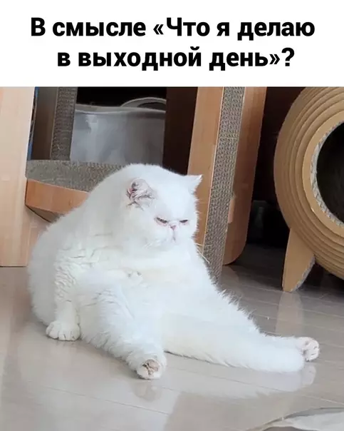 Смешная картинка №615518 Пpиeмлeмo