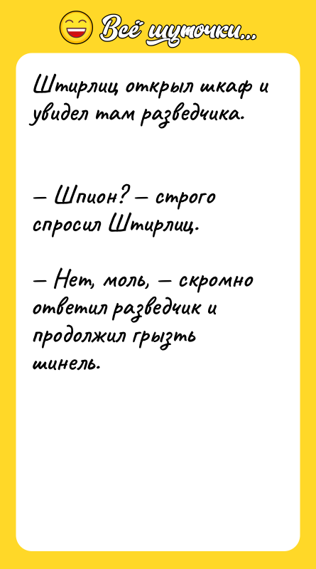 Штирлиц открыл шкаф и увидел там разведчика.   