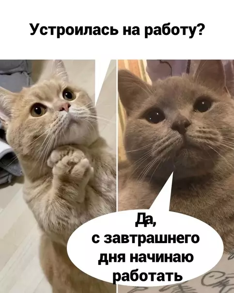 Смешная картинка №624694 Понимаем